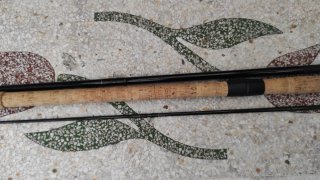 Caña de pesca Daiwa Graphite