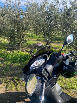Suzuki Burgman 125 Scooter Blanca