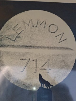 Lámina The Wolf of Wall Street
