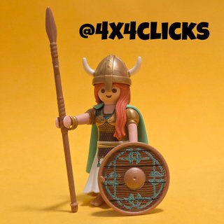 Playmobil Vikinga Serie 25