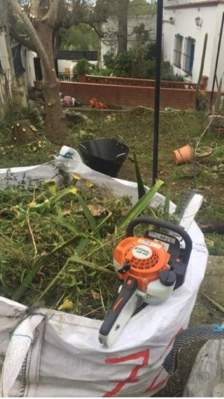 Jardinero