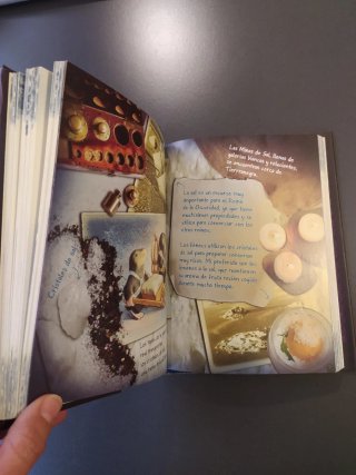 Libro juvenil Princesa de la oscuridad. COMO NUEVO