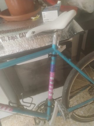 Bicicleta de montaña