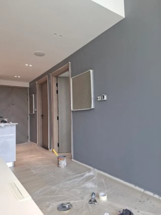 Pintor profesional en Barcelona