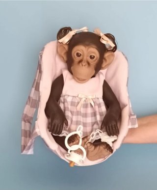 Muñeca reborn Baby Chimpancé NUEVO