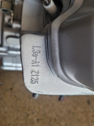 Motores Rieju Tango 125