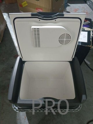 AEG Automotive Nevera termoeléctrica 12/230 V