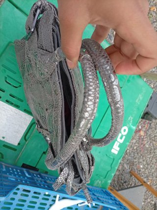 Bolso Paula Rossi Gris Metalizado Serpiente