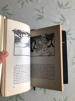 Lot de 7 llibres en català infantil i juvenil