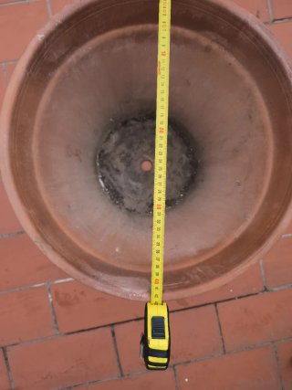 Maceta grande terracota