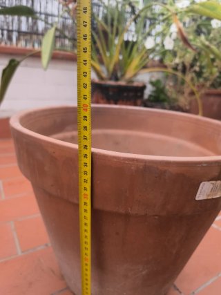 Maceta grande terracota