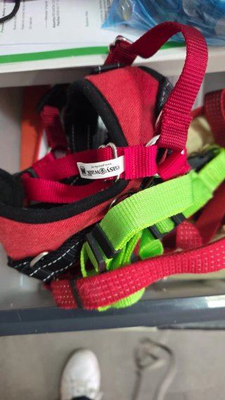 Pack de arneses para perro