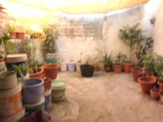 Casa rural en venta en Ubrique