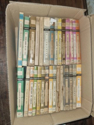 Lote de libros