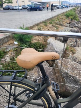 Bicicleta Paseo Scott