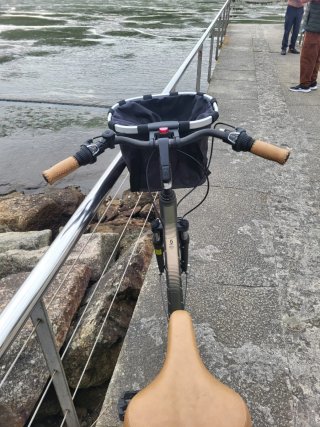 Bicicleta Paseo Scott
