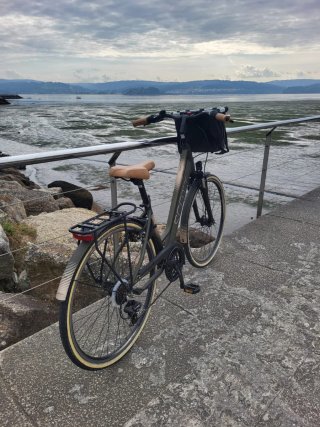 Bicicleta Paseo Scott