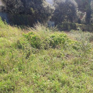 Terreno en venta en Residencial Park en Maçanet de la Selva