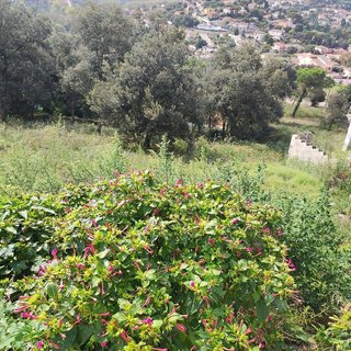 Terreno en venta en Residencial Park en Maçanet de la Selva