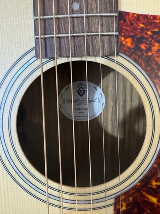 Guitarra Guild 250 E Edición Limitada