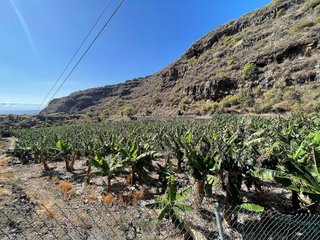Terreno en venta en Santa Cruz de la Palma