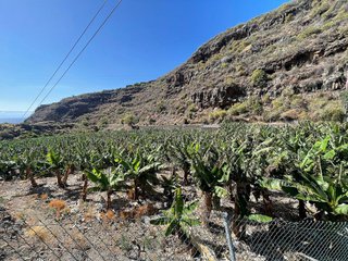 Terreno en venta en Santa Cruz de la Palma