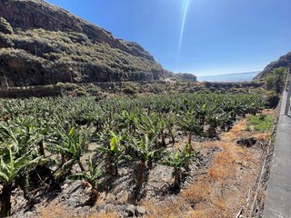 Terreno en venta en Santa Cruz de la Palma