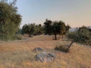 Terreno en venta en Ubrique