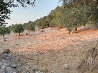 Terreno en venta en Ubrique