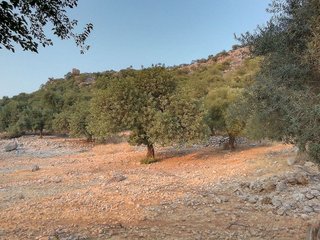 Terreno en venta en Ubrique