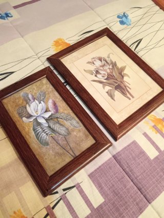 Cuadros decorativos de flores