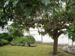 Terreno en venta en San Francisco en Ourense