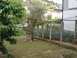 Terreno en venta en San Francisco en Ourense