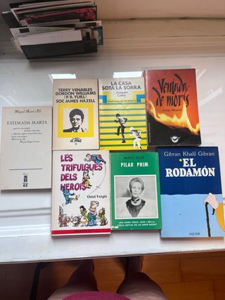 Llibres clássics en català, libros clásicos catala