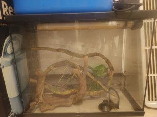Terrario para mascotas