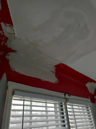 Pintor: Gotele, estucado humedades.