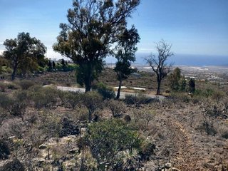 Terreno en venta en Granadilla de Abona ciudad en Granadilla de Abona