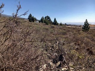 Terreno en venta en Granadilla de Abona ciudad en Granadilla de Abona