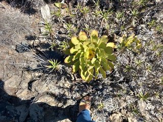 Terreno en venta en Granadilla de Abona ciudad en Granadilla de Abona