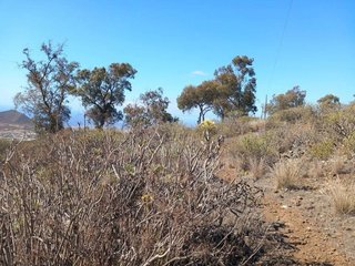 Terreno en venta en Granadilla de Abona ciudad en Granadilla de Abona