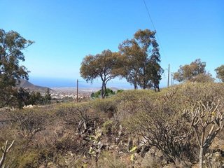 Terreno en venta en Granadilla de Abona ciudad en Granadilla de Abona