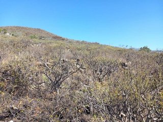 Terreno en venta en Granadilla de Abona ciudad en Granadilla de Abona