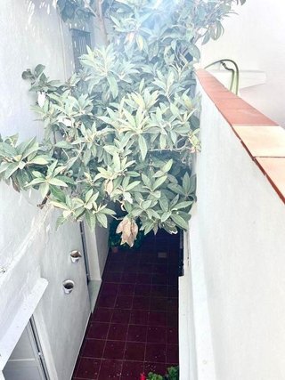 Edificio en venta en Tarifa