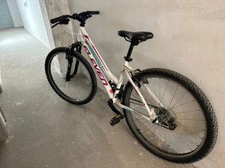 Bicicleta de montaña Eleven