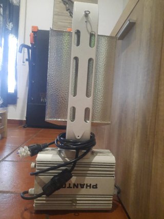 Foco Sodio Phantom Seminuevo