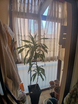 Piso en venta en Guijuelo