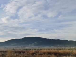 Terreno en venta en Monóvar/Monòver