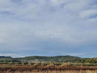 Terreno en venta en Monóvar/Monòver