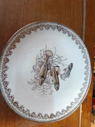 Servizio piatti porcellana decoro pesce