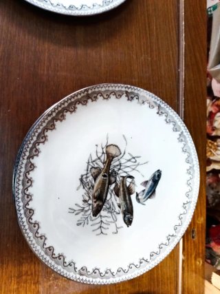 Servizio piatti porcellana decoro pesce